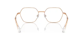 Swarovski Eyeglasses SK1011