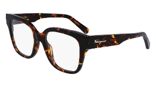 219 Dark Tortoise