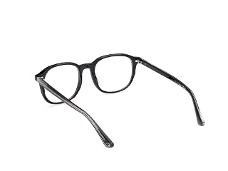 Web Eyeglasses WE5454