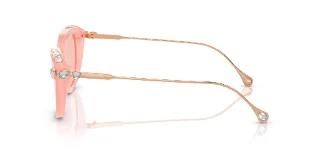 Swarovski Sunglasses SK6010