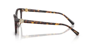 Swarovski Eyeglasses SK2073