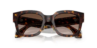 Giorgio Armani Sunglasses AR8223