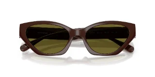Coach Sunglasses HC8459U