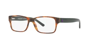 5650 Shiny Jerry Tortoise