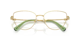 Swarovski Eyeglasses SK1007