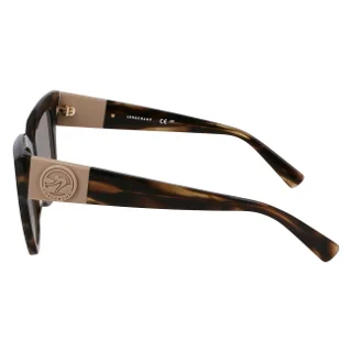 Longchamp Sunglasses LO762S