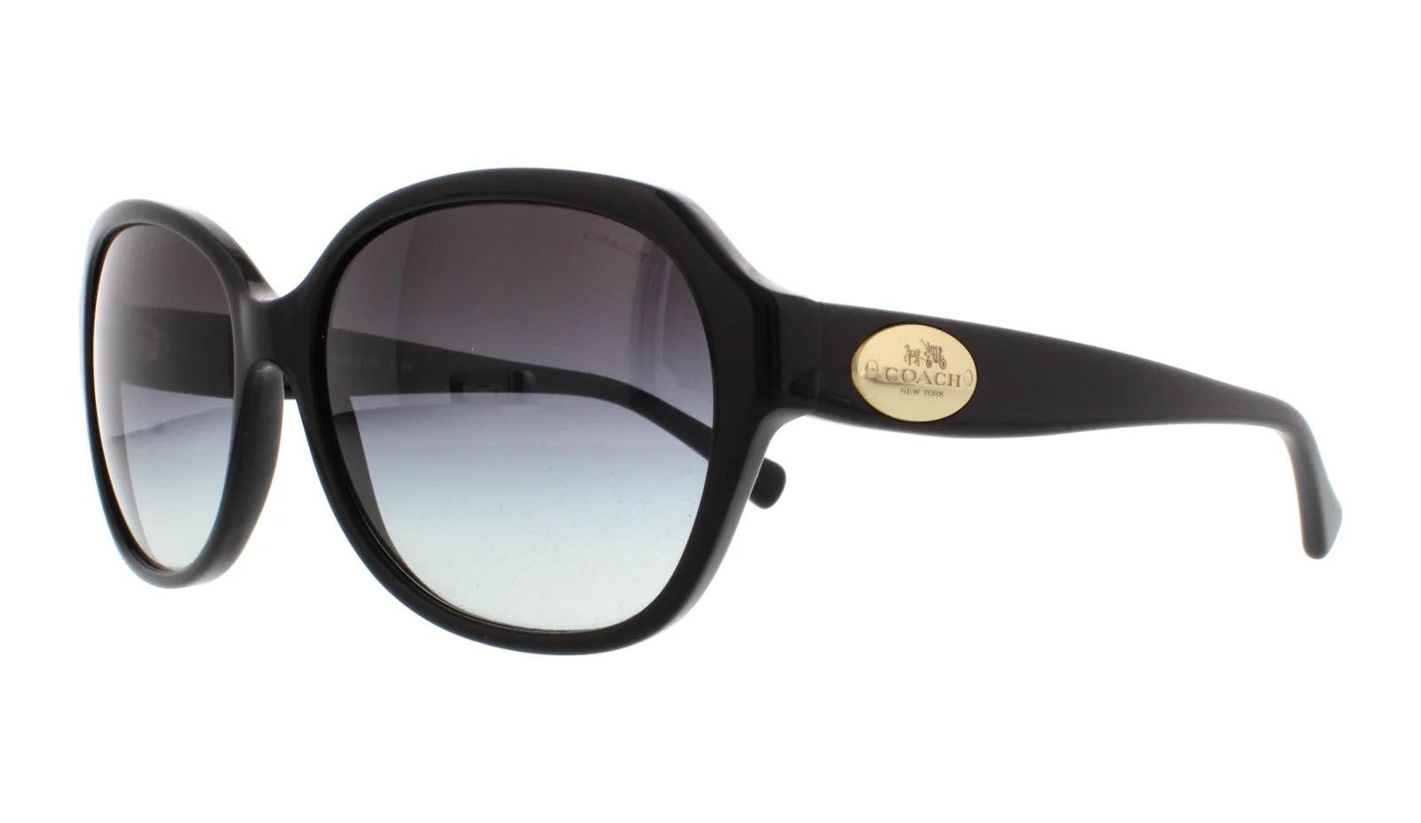 Coach Sunglasses HC8150