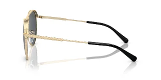 Michael Kors Sunglasses MK1138