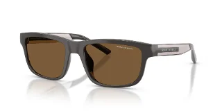 840573 Shiny Brown