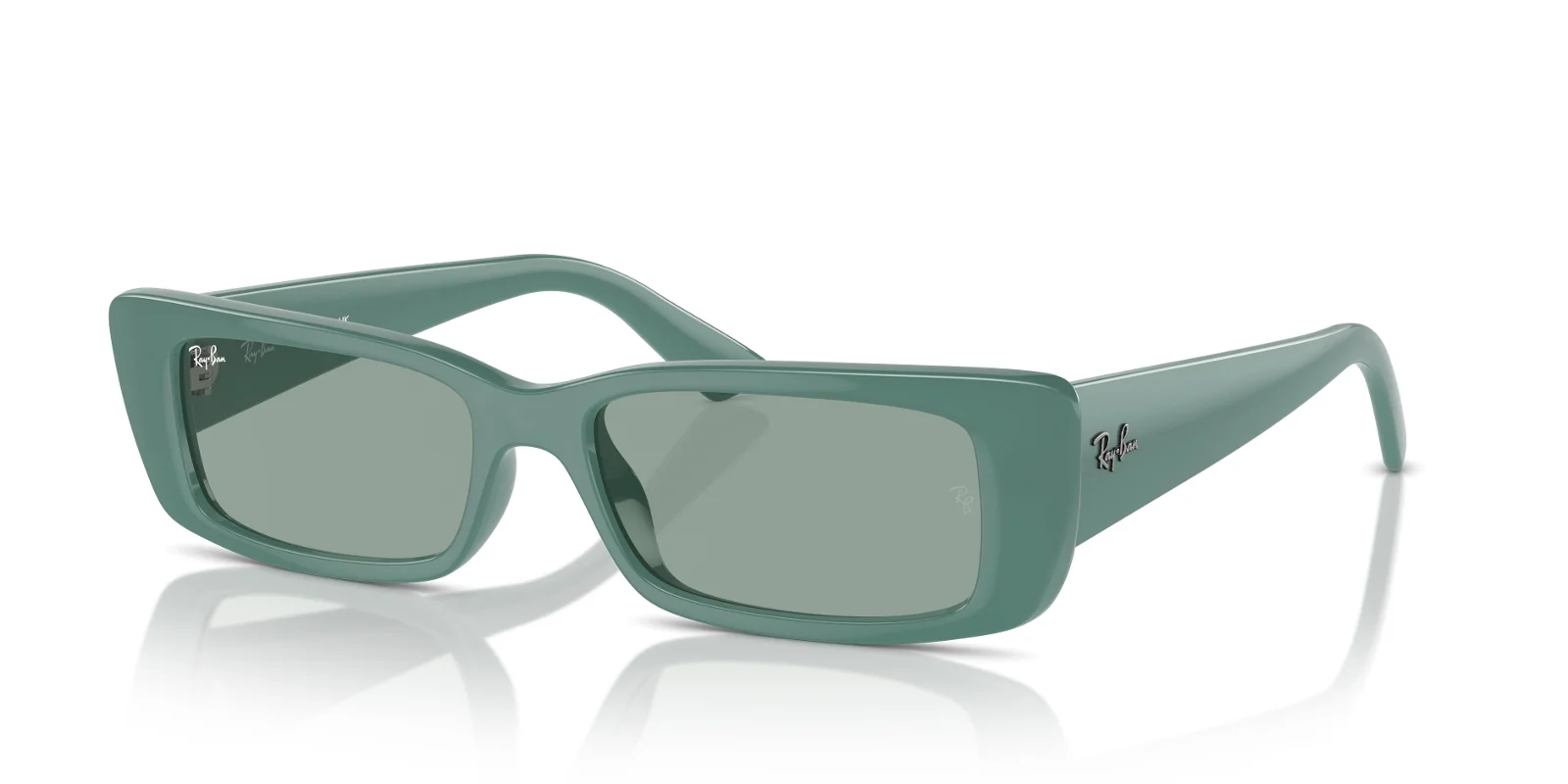 Ray Ban Sunglasses RB4425F