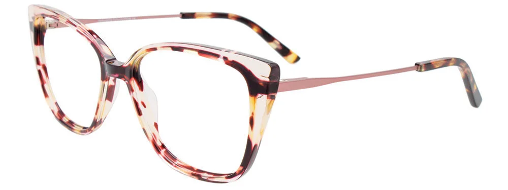 Paradox Eyeglasses P5088