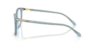 Swarovski Eyeglasses SK2069