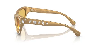 Swarovski Sunglasses SK6007