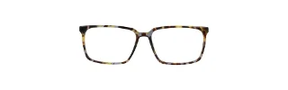 Argyleculture Eyeglasses Ritter