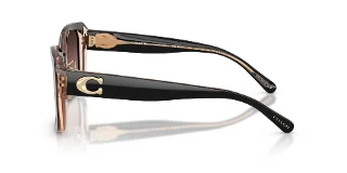 Coach Sunglasses HC8352