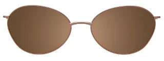 Easyclip Eyeglasses EC660