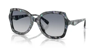 584535 Blue Pearl Tortoise