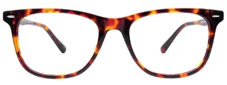 Easyclip Eyeglasses EC670