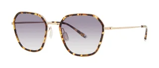 Paradigm Sunglasses 19-37