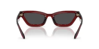 Coach Sunglasses HC8420U