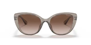 Armani Exchange Sunglasses AX4111SU