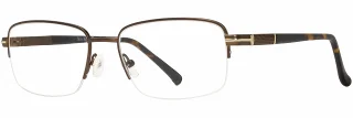 C03 Brown/Tortoise