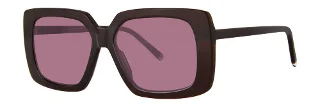 Paradigm Sunglasses Ross