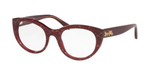Coach Eyeglasses HC6132