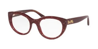 Coach Eyeglasses HC6132
