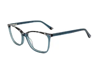 C2 Teal/Grey Tortoise