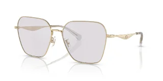 9005ZQ Shiny Light Gold