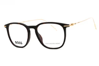 Hugo Boss Eyeglasses BOSS 1313