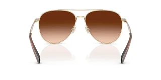 Coach Sunglasses HC7169