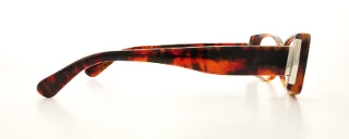 Ralph Lauren Eyeglasses RL6096