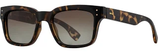 C02 Tortoise