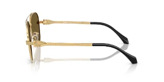 Versace Sunglasses VE2283