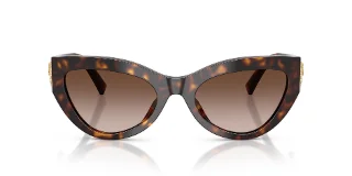 Dolce & Gabbana Sunglasses DG4536