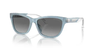 Emporio Armani Sunglasses EA4227U