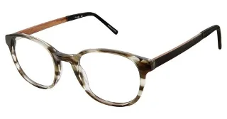 C01 Grey Tortoise