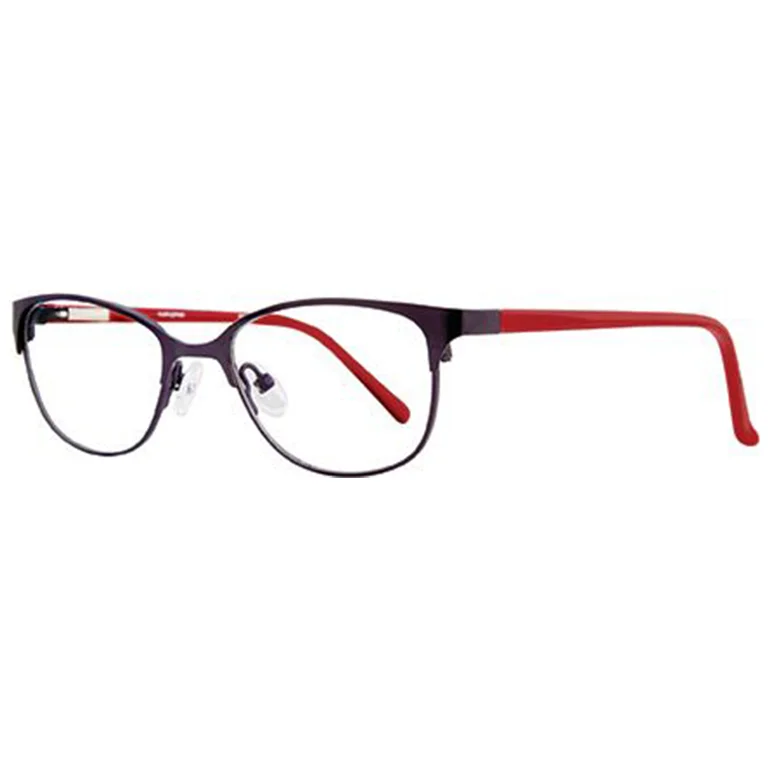 Stylewise Eyeglasses SW524