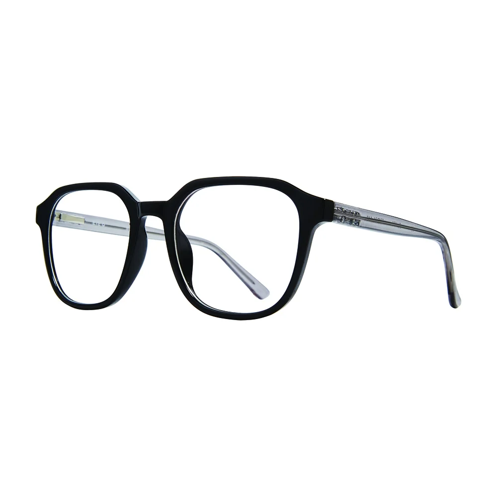 Stylewise Eyeglasses SW346