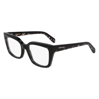 Salvatore Ferragamo Eyeglasses SF3010