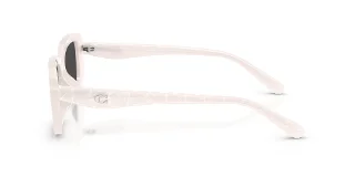 Coach Sunglasses HC8444D