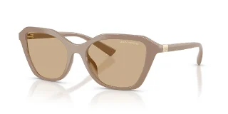 841573 Shiny Beige