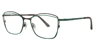 Aqua/Brown