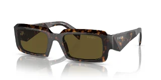 19J09Z Tortoise