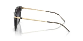 Emporio Armani Sunglasses EA4251F