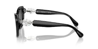 Swarovski Sunglasses SK6018