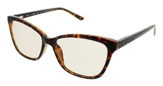 Tortoise