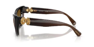 Swarovski Sunglasses SK6047